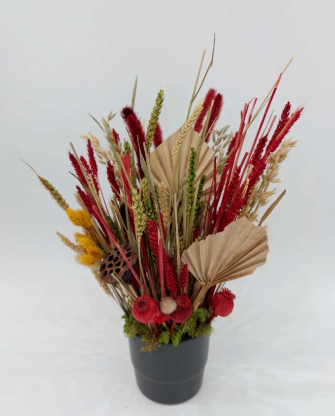 Dried Flowers Red Green Arrangement Pot