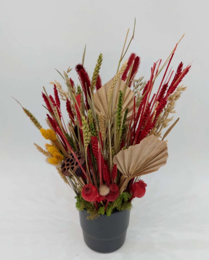 Dried Flowers Red Green Arrangement Pot