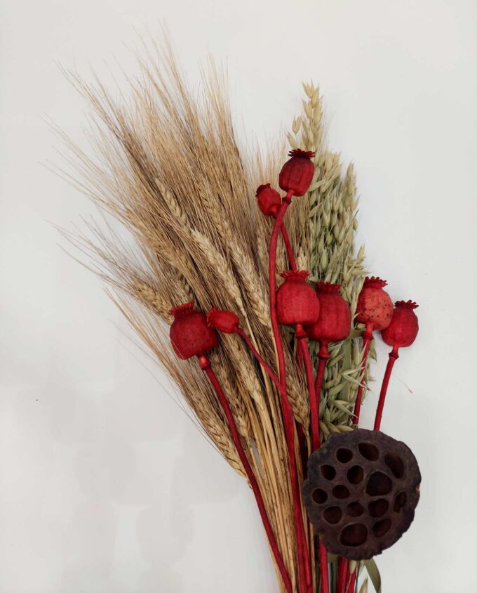 Dried Flowers Natural Red Mix Bouquet