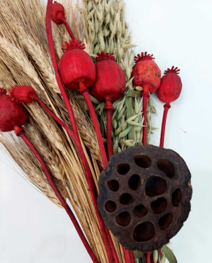 Dried Flowers Natural Red Mix Bouquet