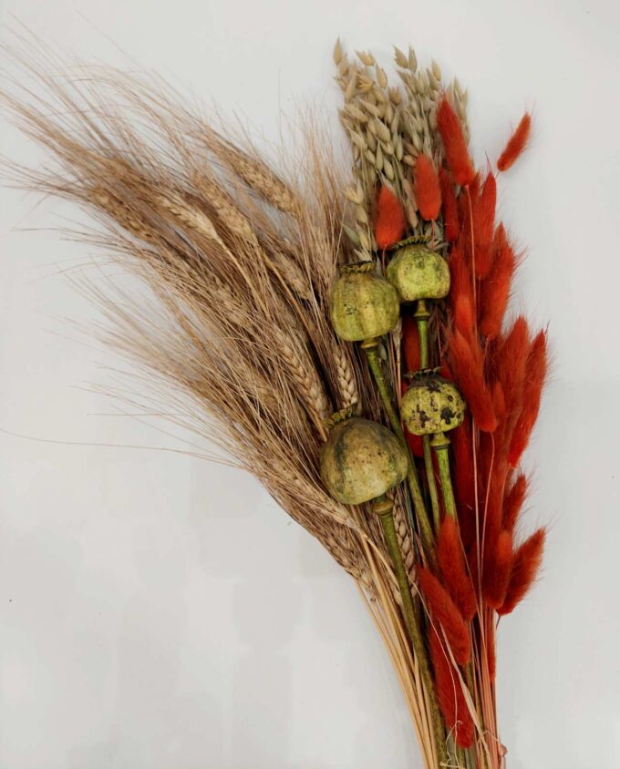 Dried Flowers Orange Green Mix Bouquet