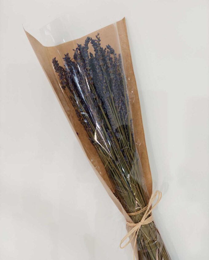 Dried Natural Lavender Bunch