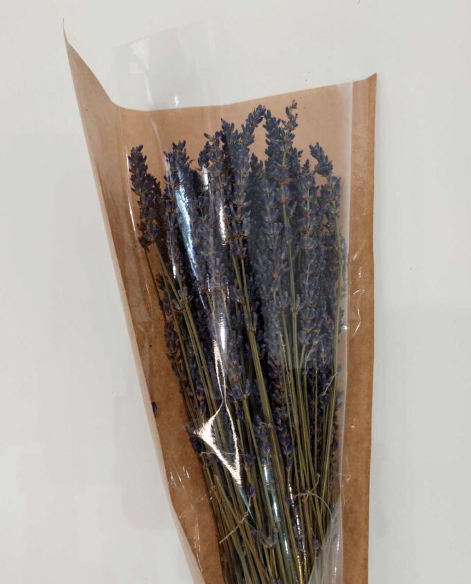 Dried Natural Lavender Bunch