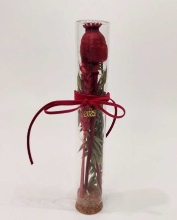 Lucky 2025 Glass Cylinder Dried Flowers