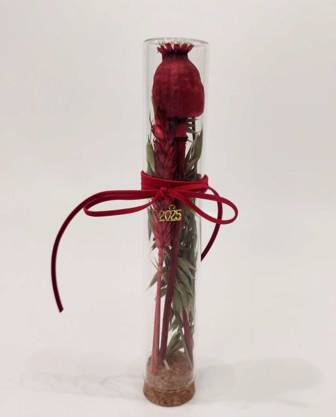 Lucky 2025 Glass Cylinder Dried Flowers