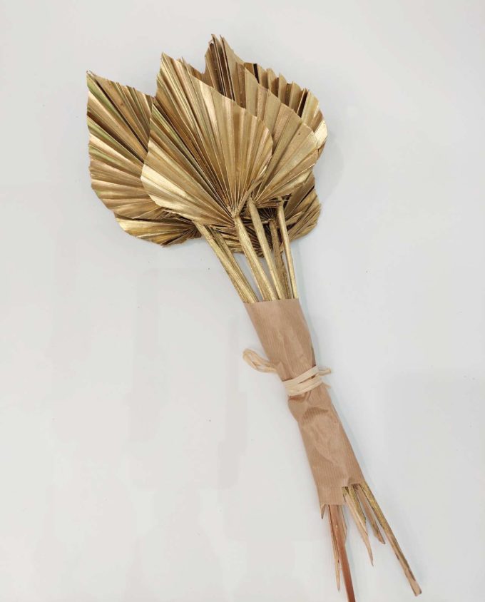 Dried Golden Palmspear Bunch 5 Pieces