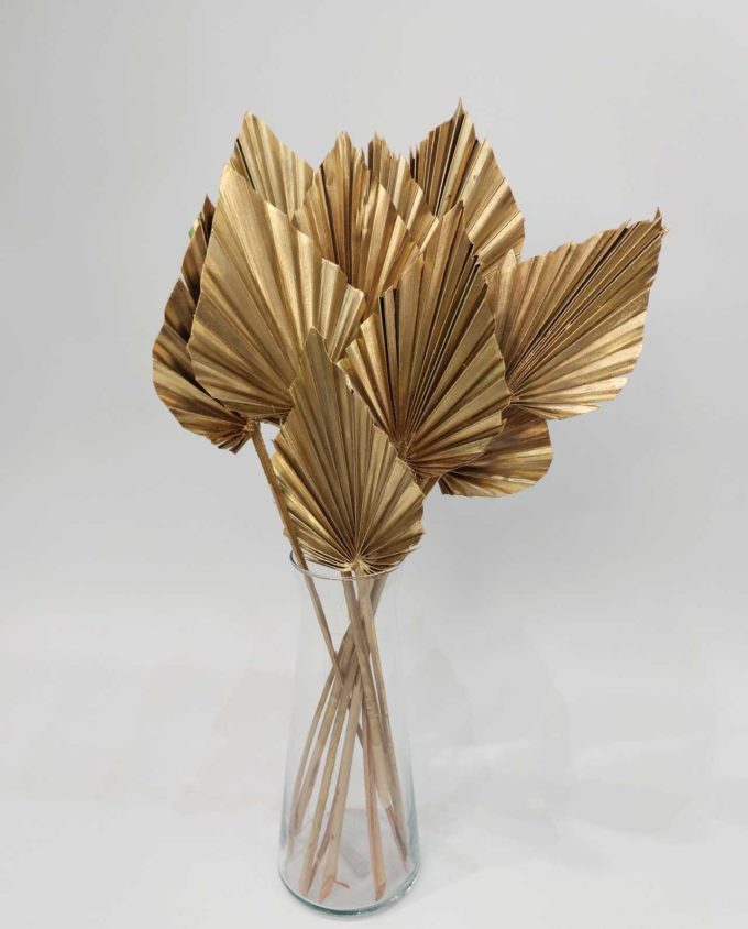 Dried Golden Palmspear Bunch 5 Pieces