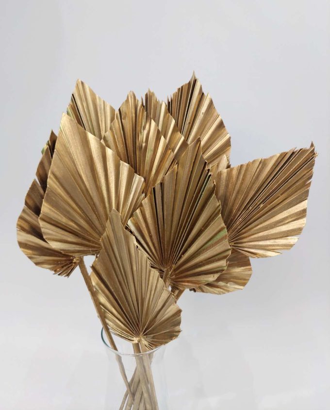 Dried Golden Palmspear Bunch 5 Pieces